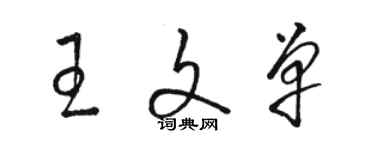 駱恆光王文單草書個性簽名怎么寫