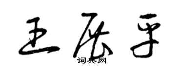 曾慶福王展平草書個性簽名怎么寫