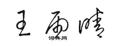 駱恆光王雨晴草書個性簽名怎么寫