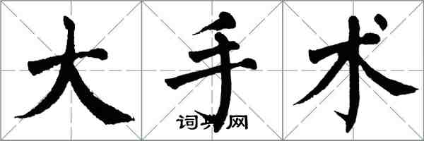 翁闓運大手術楷書怎么寫