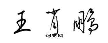 梁錦英王肖鵬草書個性簽名怎么寫