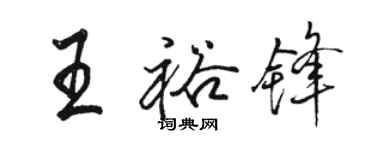 駱恆光王裕鋒行書個性簽名怎么寫
