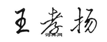 駱恆光王孝揚行書個性簽名怎么寫