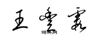 梁錦英王豐霞草書個性簽名怎么寫