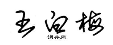 朱錫榮王白梅草書個性簽名怎么寫