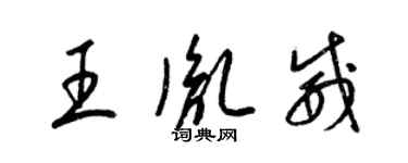 梁錦英王胤威草書個性簽名怎么寫