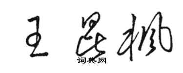 駱恆光王昆楓草書個性簽名怎么寫