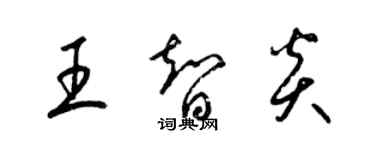 梁錦英王智炎草書個性簽名怎么寫
