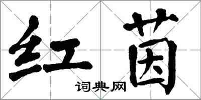 翁闓運紅茵楷書怎么寫