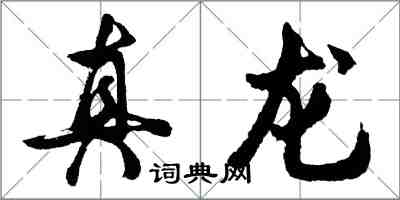 胡問遂真龍行書怎么寫