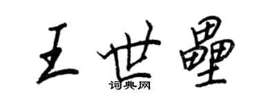 王正良王世壘行書個性簽名怎么寫