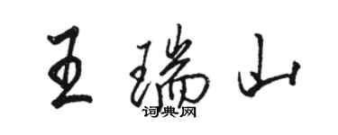 駱恆光王瑞山行書個性簽名怎么寫