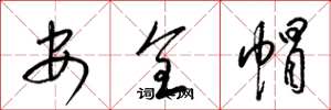 梁錦英安全帽草書怎么寫