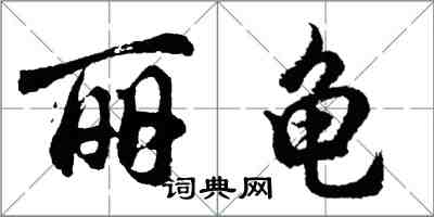 胡問遂麗龜行書怎么寫