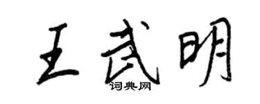 王正良王武明行書個性簽名怎么寫