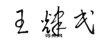 駱恆光王輝民草書個性簽名怎么寫