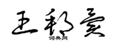 曾慶福王邦異草書個性簽名怎么寫