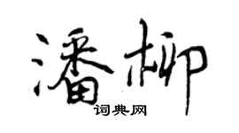 曾慶福潘柳行書個性簽名怎么寫