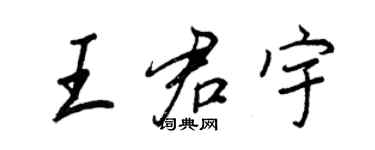 王正良王君宇行書個性簽名怎么寫