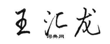 駱恆光王匯龍行書個性簽名怎么寫