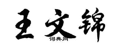 胡問遂王文錦行書個性簽名怎么寫