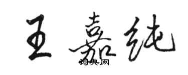 駱恆光王嘉純行書個性簽名怎么寫