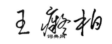 駱恆光王痴柏草書個性簽名怎么寫