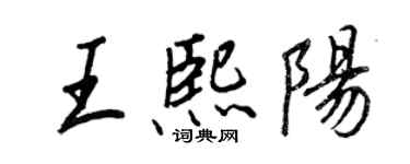 王正良王熙陽行書個性簽名怎么寫