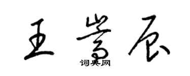 梁錦英王嵩辰草書個性簽名怎么寫