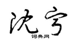 曾慶福沈寧草書個性簽名怎么寫