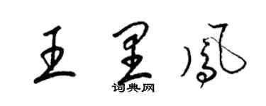 梁錦英王里鳳草書個性簽名怎么寫