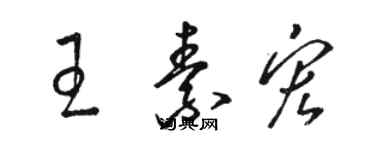 駱恆光王素宏草書個性簽名怎么寫