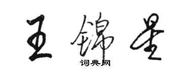 駱恆光王錦星行書個性簽名怎么寫