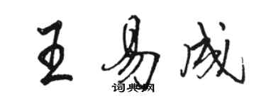 駱恆光王易成行書個性簽名怎么寫