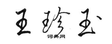 駱恆光王珍玉行書個性簽名怎么寫