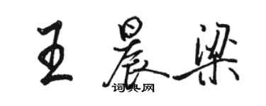 駱恆光王晨梁行書個性簽名怎么寫