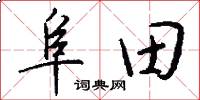 阜田怎么寫好看