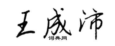 王正良王成沛行書個性簽名怎么寫
