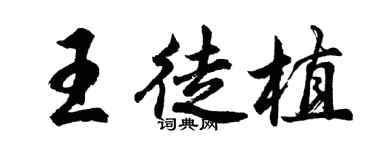 胡問遂王徒植行書個性簽名怎么寫