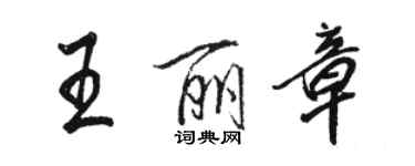 駱恆光王麗章行書個性簽名怎么寫