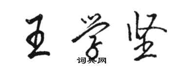 駱恆光王學堅行書個性簽名怎么寫