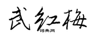 王正良武紅梅行書個性簽名怎么寫