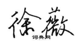 駱恆光徐薇行書個性簽名怎么寫