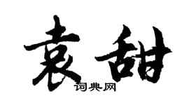 胡問遂袁甜行書個性簽名怎么寫