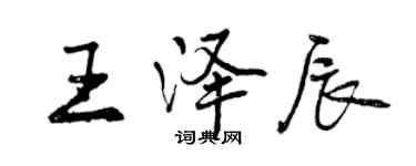 曾慶福王澤辰行書個性簽名怎么寫