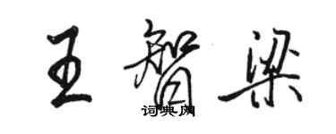 駱恆光王智梁行書個性簽名怎么寫