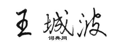 駱恆光王城波行書個性簽名怎么寫