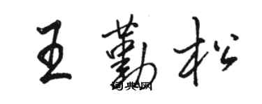 駱恆光王勤松行書個性簽名怎么寫