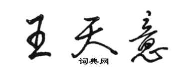 駱恆光王天意行書個性簽名怎么寫