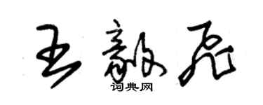 朱錫榮王毅飛草書個性簽名怎么寫